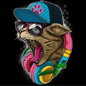 Meet your Posher, Adan